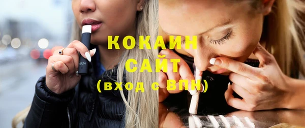 индика Михайлов