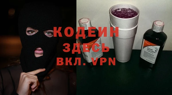 индика Михайлов