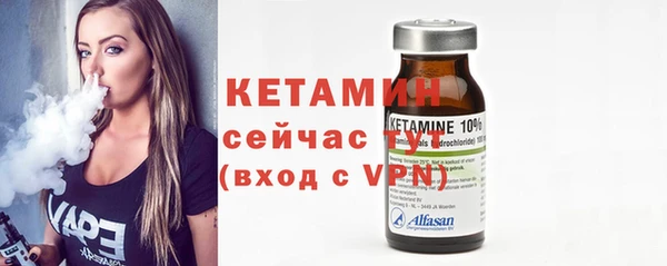 индика Михайлов