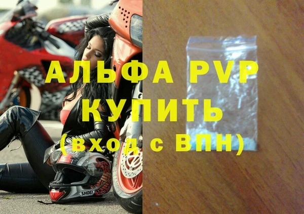 индика Михайлов