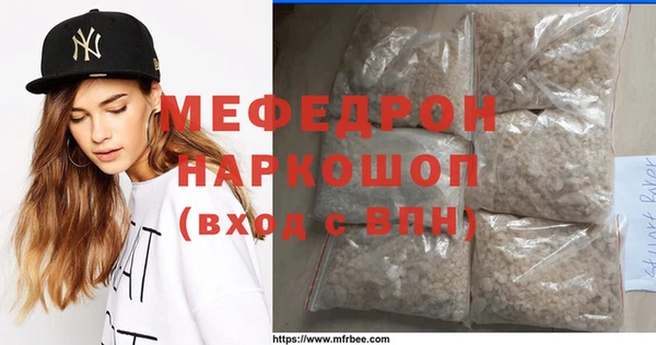 индика Михайлов