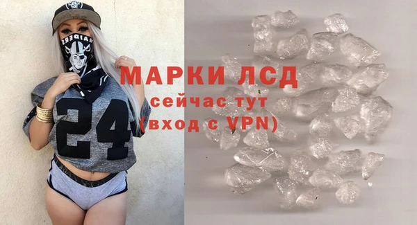 индика Михайлов