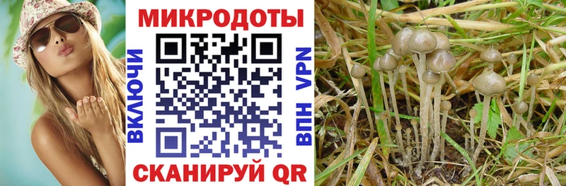 Галлюциногенные грибы Cubensis  Купить  Казань 
